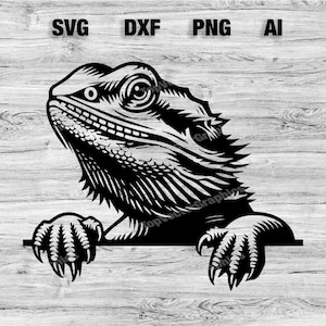 Cabeça de dragão barbudo espiando | Arquivo de laser gráfico vetorial de lagarto Silhueta Clip Art, Cameo, Cricut SVG, PNG, Dxf, Ai, Download instantâneo