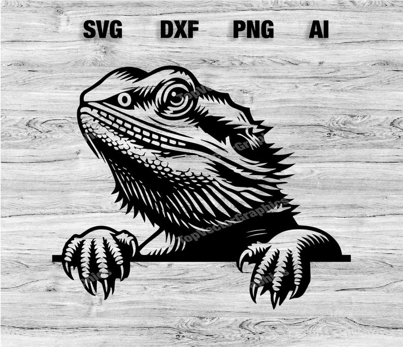 Peeking Bearded Dragon Head | Lizard Vector Graphic Laser File ...