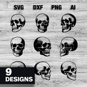 9 Skull Cut Files | Skeleton Skull Vector Graphic Silhouette, Cameo, Cricut SVG, PNG, Dxf, Ai, Instant Download Bundle Laser Ready