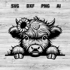 Peeking Highlander Cow Head | Highland Cow Vector Graphic Laser File Silhouette Clip Art, Cameo, Cricut SVG, PNG, Dxf, Ai, Instant Download