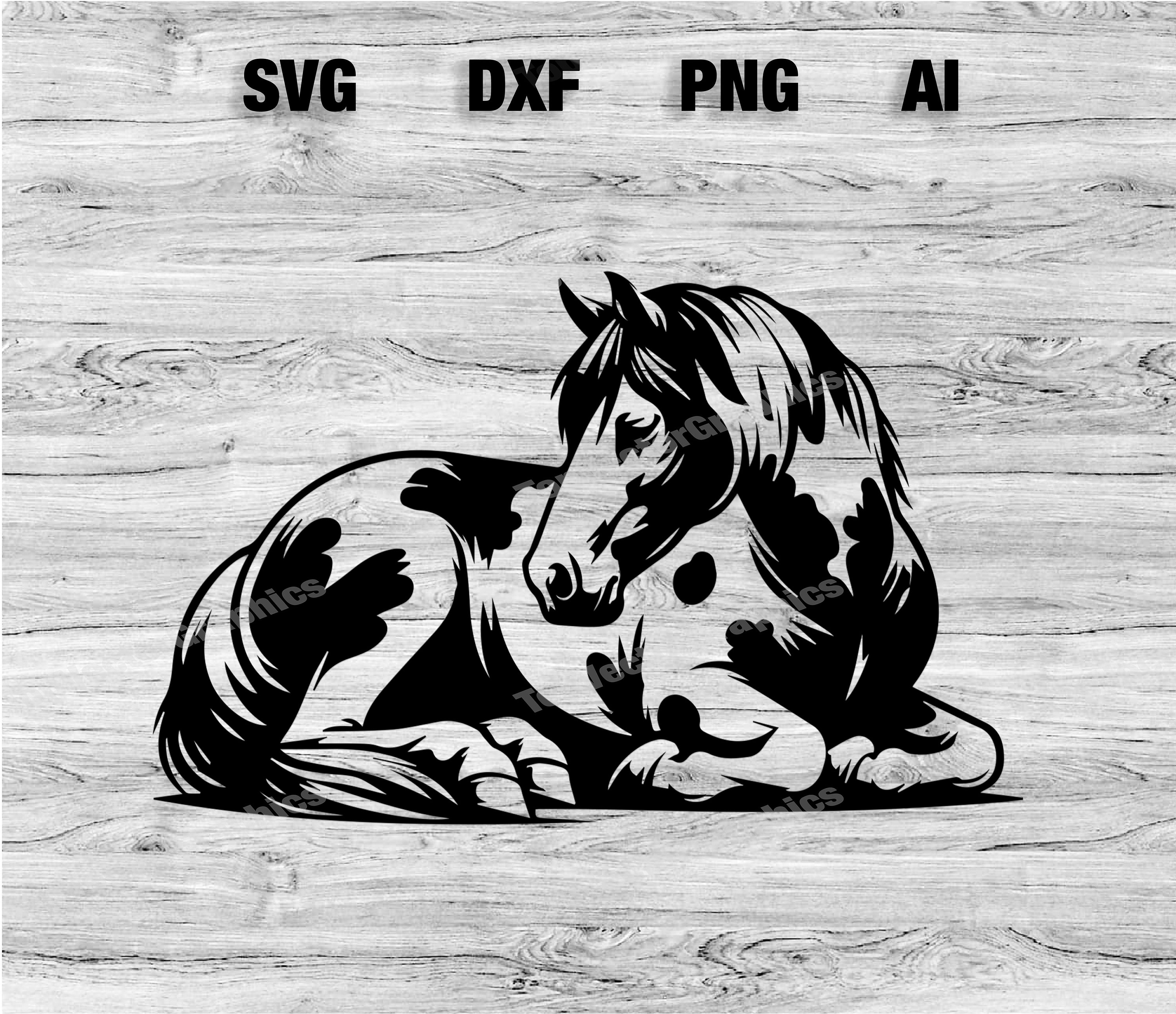 Pinto Horse Laying Cut Files | Pinto Thoroughbred Horse Gallop Vector Graphic Silhouette, Cameo, Cricut SVG, PNG, Dxf, Ai, Instant Download