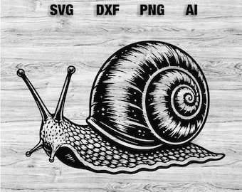Snail SVG Bundle, Vintage Snail Illustration SVG, Cottagecore Cricut Cut File, Nature PNG, Woodland Animal svg