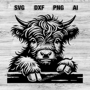 Peeking Highland Cow Head | Highlander Cow Vector Graphic Laser File Silhouette Clip Art, Cameo, Cricut SVG, PNG, Dxf, Ai, Instant Download