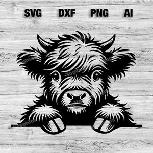 Peeking Highland Cow Head | Highlander Cow Vector Graphic Laser File Silhouette Clip Art, Cameo, Cricut SVG, PNG, Dxf, Ai, Instant Download