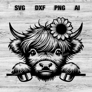 Peeking Highlander Cow Head | Highland Cow Vector Graphic Laser File Silhouette Clip Art, Cameo, Cricut SVG, PNG, Dxf, Ai, Instant Download