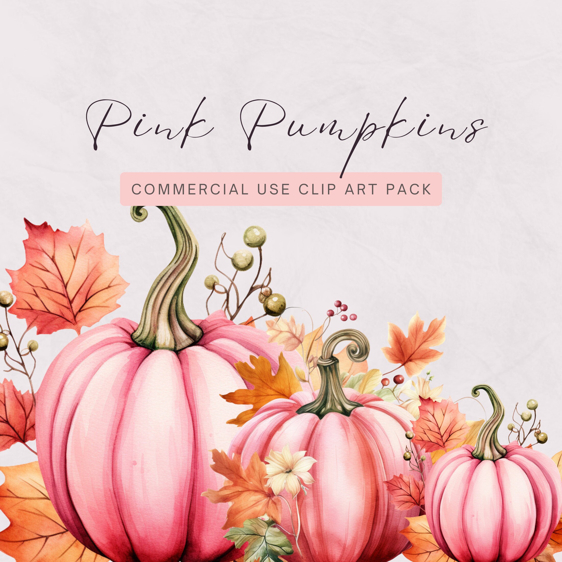 Pink Pumpkin Watercolor Clipart Pack, Commercial Use, Instant Download ...