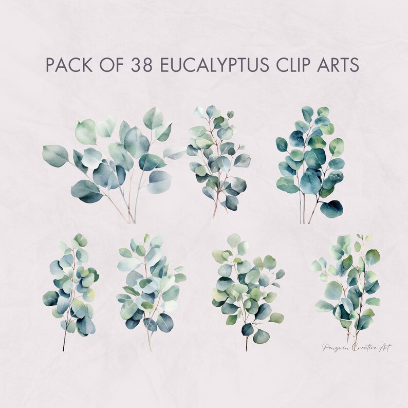 Eucalyptus Clipart Bundle Commercial Use // Greenery Etsy