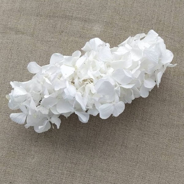 Tocado hortensia blanca preservada. Tocado pelo comunion y boda Peine flores preservadas Accesorios pelo primera comunión White minihat