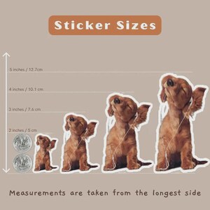 May include: A size chart for stickers featuring four brown dachshunds in increasing scale. The text reads Sticker Sizes and Measurements are taken from the longest side. Horizontal lines indicate heights of 2, 3, 4, and 5 inches next to two coins.