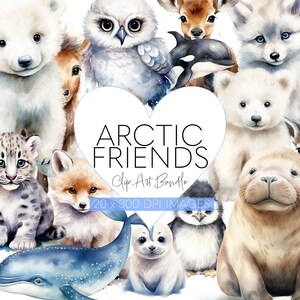 Clip art and image files animals clip art for kids deer clipart for invitations clip art watercolor baby animals north pole arctic animals