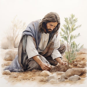 Pictures of Jesus Christ / Watercolor / The Seed of Faith / Jesus Christ Painting