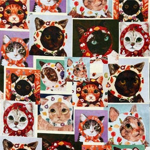 Cute Cat Fabric, By the Half Yard, 100% Cotton, Colorful Kitty Fabric