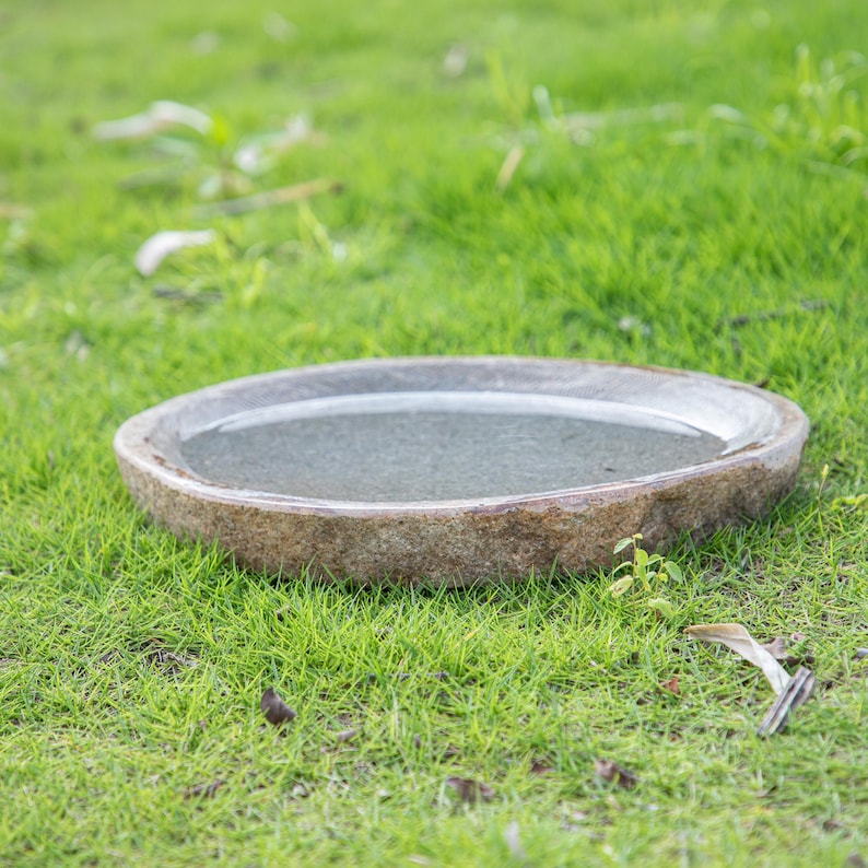 May include: A round, gray stone bird bath with a shallow basin filled with water. The bird bath is sitting on a bed of green grass.
