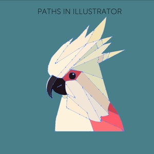 May include: A digital illustration of a cockatoo's head, created using geometric shapes and paths in Adobe Illustrator. The bird's crest is white, its beak is black, and its cheek is red.