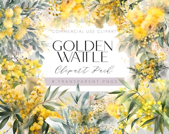 Australian Native Flowers Clipart Wattle flowers Transparent PNGs Aussie Flora Clipart Watercolor Floral Tropical Wedding Flowers