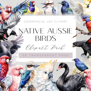 Uccelli nativi australiani Clipart Uccelli nativi australiani illustrazioni Acquerello Uccelli australiani Arte Aussie Bird Scrapbooking Kookaburra Art