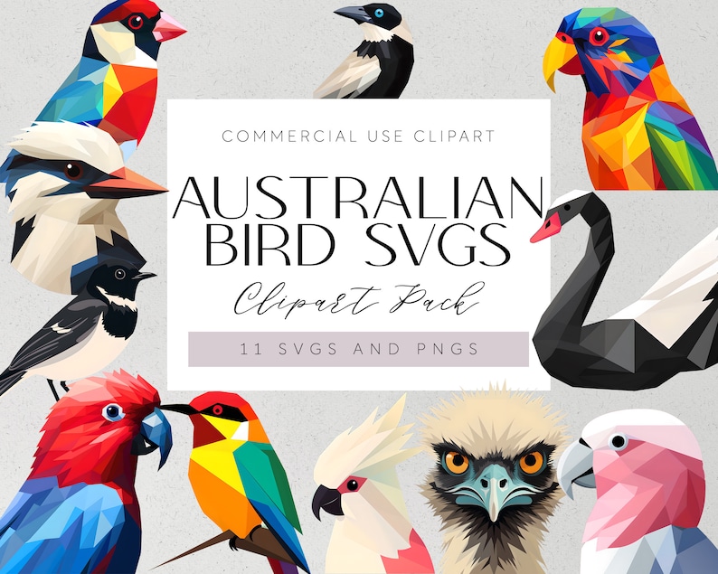 May include: A set of 11 digital illustrations of Australian birds in a geometric style. The birds are colorful and include a kookaburra, a black swan, a lorikeet, a cockatoo, a magpie, a kingfisher, and a rainbow lorikeet. The illustrations are perfect for use in digital projects, such as websites, social media, and printed materials.