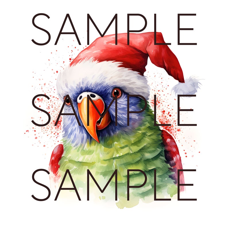 Op de afbeelding: Waterverfillustratie van een kleurrijke papegaai met een kerstmuts. De papegaai heeft blauwe, groene en rode veren, met een feloranje snavel. De afbeelding heeft het woord "SAMPLE" in zwarte tekst.