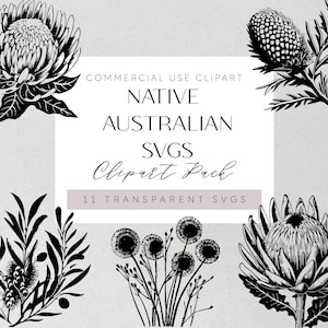 Flores nativas australianas SVG Aussie Botanicals Plotter Archivo Svg Banksia Florals Cricut Silueta Vinilo Corte láser Banksia Clipart