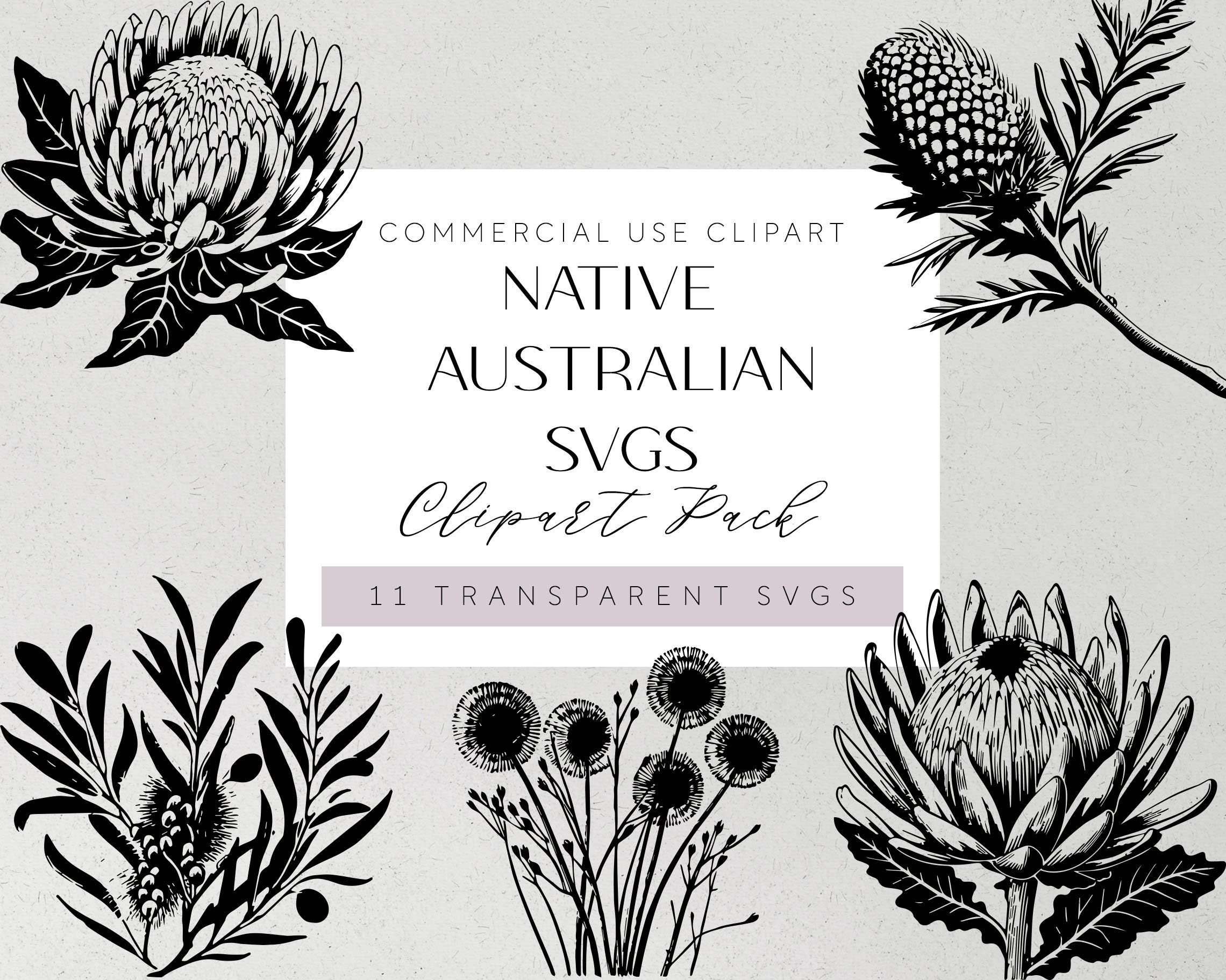 Australian Native Flowers SVG Aussie Botanicals Plotter File Etsy