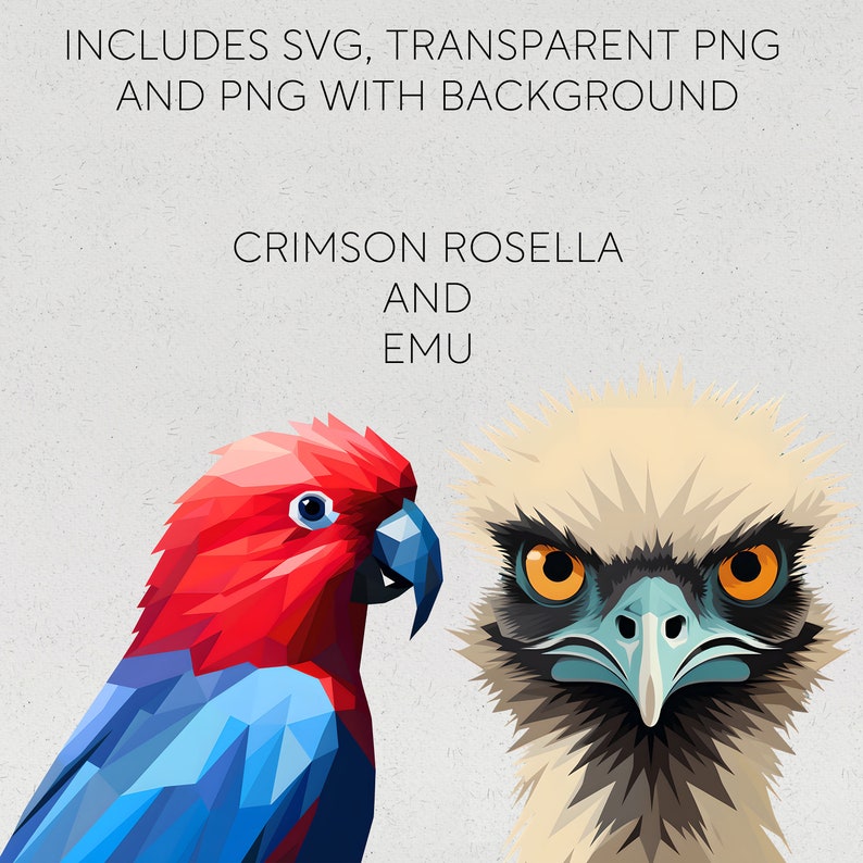 May include: A digital illustration of a crimson rosella and an emu. The rosella is red and blue with a black beak. The emu is beige with a blue beak and orange eyes. The background is a light gray.