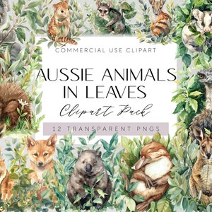 Clipart animaux indigènes d'Australie dans le feuillage Illustrations de kangourou australien aquarelle Art du koala australien Wombat australien Art du scrapbooking