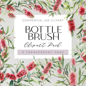 Könnte beinhalten: Ein digitales Clipart-Paket mit 9 Aquarell-Flaschenbürstenblüten mit grünen Blättern. Die Blüten sind rot und rosa. Der Text "Bottle Brush Clipart Pack 9 Transparent PNGs" befindet sich auf einem weißen Hintergrund.