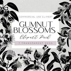 May include: Black and white silhouette clipart of gum nut blossoms. The image includes 7 transparent SVG files. The text "COMMERCIAL USE CLIPART GUMNUT BLOSSOMS Clipart Pack 7 TRANSPARENT SVGS" is displayed on a white rectangle.