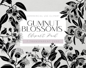 Könnte beinhalten: Schwarz-weißes Silhouetten-Clipart von Gummibaumblüten. Das Bild enthält 7 transparente SVG-Dateien. Der Text "COMMERCIAL USE CLIPART GUMNUT BLOSSOMS Clipart Pack 7 TRANSPARENT SVGS" wird auf einem weißen Rechteck angezeigt.