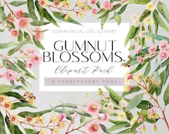Australian Native Flowers Clipart Gumnut Blossoms Eucalyptus Flowers Transparent PNG Aussie Flora Clipart Painted Floral Wedding Flowers