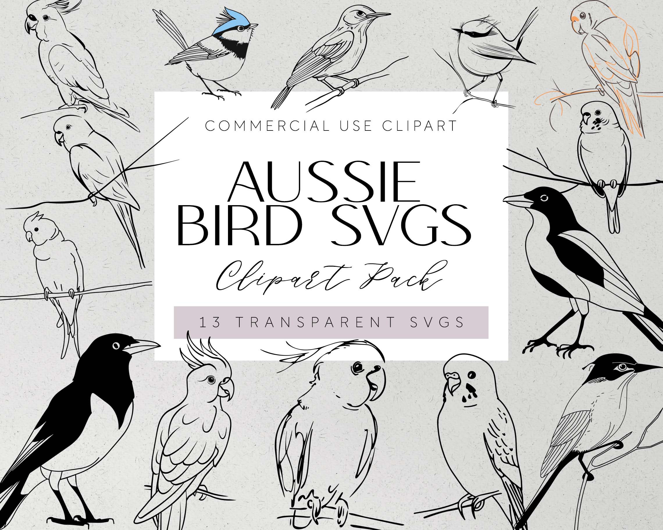 Australian Native Bird SVG Aussie Native Birds PNG Australian Birds