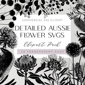Australische Native Blumen SVG Aussie Botanicals Plotterdatei SVG Banksia Florals Cricut Silhouette Vinyl Laser Cut Banksia Clipart