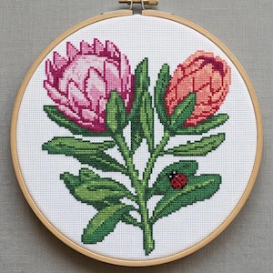 May include: A circular wooden embroidery hoop containing white fabric with a cross-stitch design of two protea flowers in shades of pink and coral, surrounded by green leaves and stems, with a small red ladybug resting on one of the lower leaves.