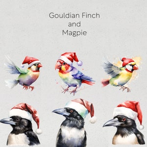 Op de afbeelding: Waterverfillustratie met Gouldamadines en Eksters, elk met een kerstmuts. De vogels tonen levendige kleuren, met de tekst "Gouldian Finch and Magpie" bovenaan. De afbeelding heeft een feestelijk, vakantiethema.
