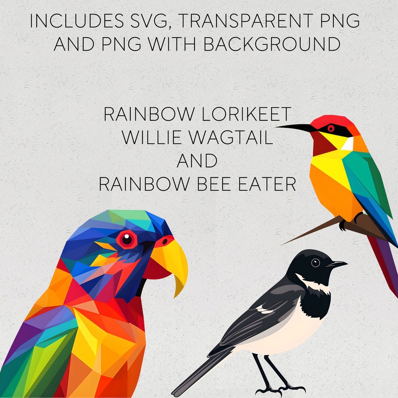 May include: Digital illustration of three colorful birds: a rainbow lorikeet, a willie wagtail, and a rainbow bee eater.  INCLUDES SVG, TRANSPARENT PNG AND PNG WITH BACKGROUND.