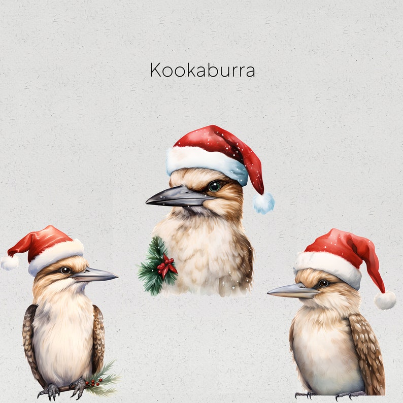Op de afbeelding: Waterverfillustratie van drie kookaburra's met kerstmutsen. De vogels hebben bruine en witte veren, zwarte snavels en zijn versierd met takjes. Het woord "Kookaburra" staat boven de vogels.