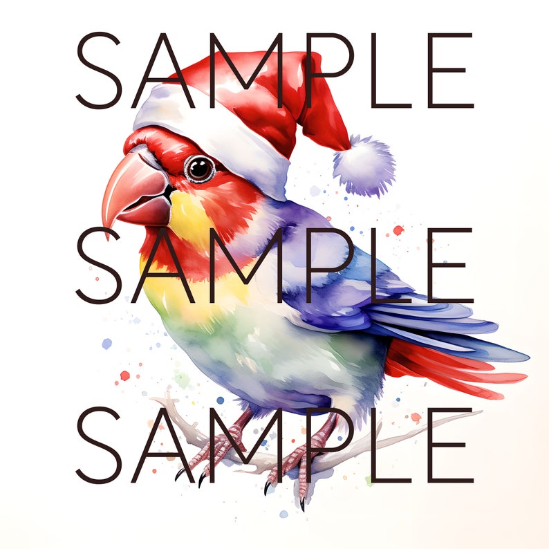 Op de afbeelding: Waterverfillustratie van een kleurrijke vogel met een kerstmuts, zittend op een tak. De vogel heeft rode, gele, blauwe en witte tinten. Het woord "SAMPLE" is in het zwart boven, onder en naast de vogel gedrukt.