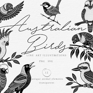 Peut inclure: Une collection d'illustrations au trait en noir et blanc représentant divers oiseaux australiens perchés sur des branches. Le texte indique Australian Birds, LINE ART ILLUSTRATIONS, PNG SVG, 12 unique animal elements, et transparent.