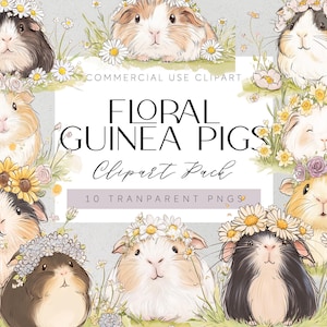 Floral Guinea Pigs Watercolour Clipart Bundle Pet Images Adorable Animal Illustrations Instant Download Commercial Use