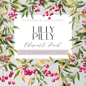 Australische inheemse bloemen clipart Lilly Pilly bloemen transparante PNG Aussie Flora clipart aquarel Syzygium smithii bloemen bruiloft kunst