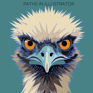 May include: A digital illustration of an emu with a blue beak and orange eyes. The emu's head is surrounded by a white and brown feathery mane.