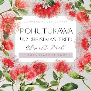 Arbre de Noël de Nouvelle-Zélande fleurs indigènes Clipart fleurs de Pohutukawa PNG transparents Clipart flore kiwi aquarelle fleurs de mariage floral