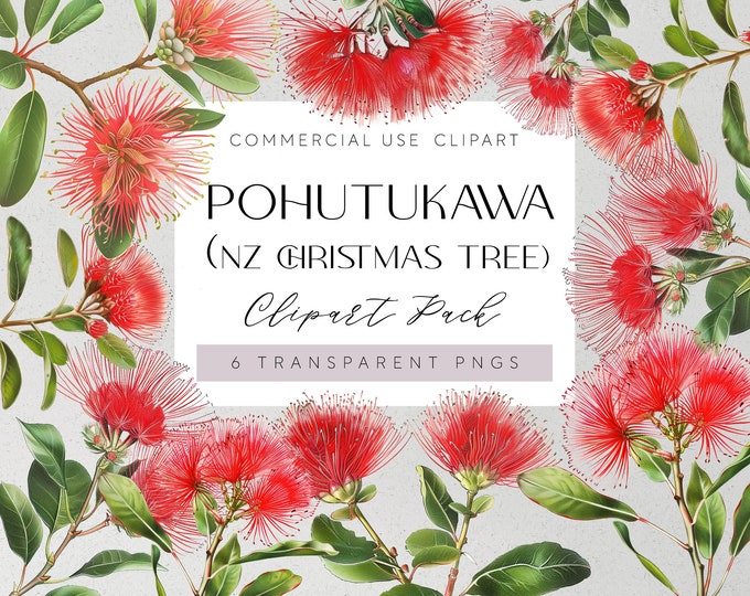 Pohutukawa Flower SVG, New Zealand Kiwiana, Nz Icons PNG, Pohutukawa ...