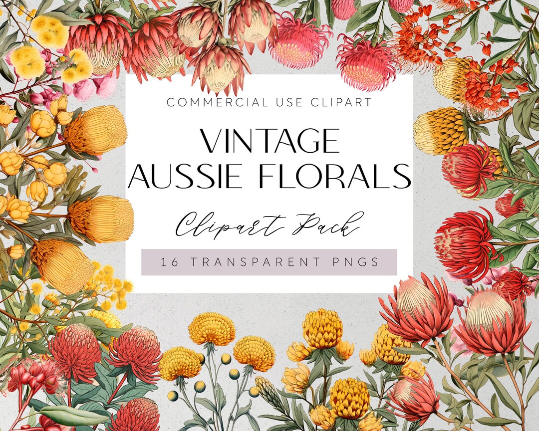 Australian Native Flowers Clipart Vintage Flowers Transparent - Etsy