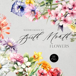 ClipArt dei fiori del mese di nascita/Fiore png/Fiore di nascita png/Png floreale/Png botanico/Png rosa/Png margherita/Png papavero/Compleanno