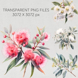 May include: A watercolor illustration of four different types of flowers. The first flower is a pink flower with a white center. The second flower is a white flower with a yellow center. The third flower is a pink flower with a white center. The fourth flower is a white flower with a yellow center.