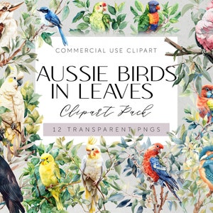 Australische Ureinwohner Vögel Laub Clipart Aussie Ureinwohner Illustrationen Aquarell Aussie Vögel Kunst Aussie Scrapbooking Kookabur