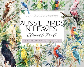 May include: A digital clipart pack featuring 12 watercolor illustrations of Australian birds perched on leafy branches. The birds are depicted in various colors, including blue, red, yellow, green, and pink. The text "Aussie Birds in Leaves Clipart Pack 12 Transparent PNGs" is displayed on a white banner.