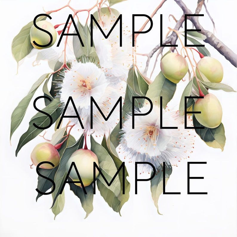 May include: A close-up of a cluster of white flowers with delicate petals and yellow centers. The flowers are surrounded by green leaves and small, round, green fruits. The image is labeled "SAMPLE" three times.