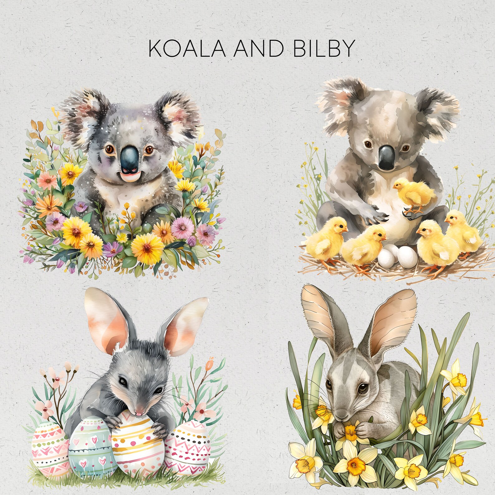 Easter Australian Native Animals Clipart Aussie Kangaroo Illustrations ...
